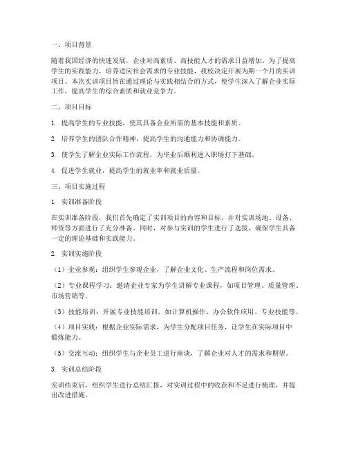 实训项目阶段性总结报告