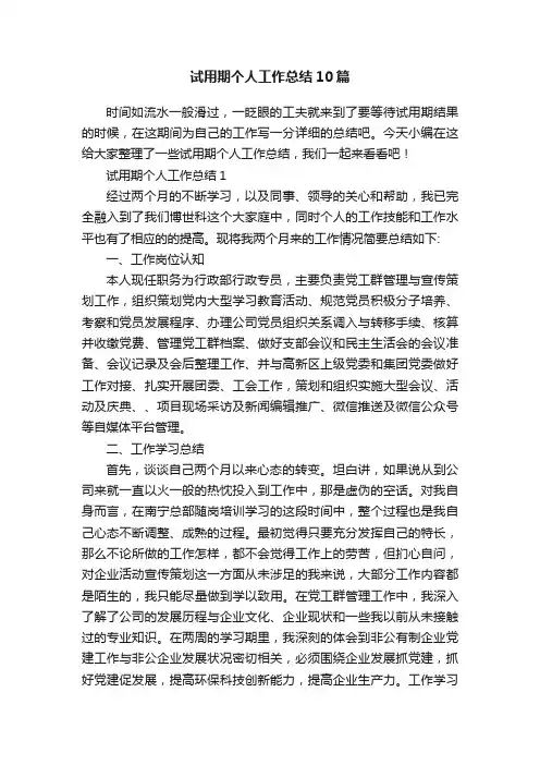 试用期个人工作总结10篇