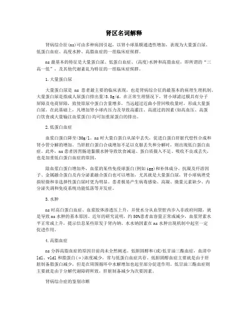 肾区名词解释