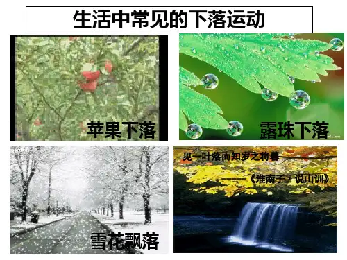 人教版高一物理必修1 2.5自由落体运动(共19张PPT)[优秀课件资料]