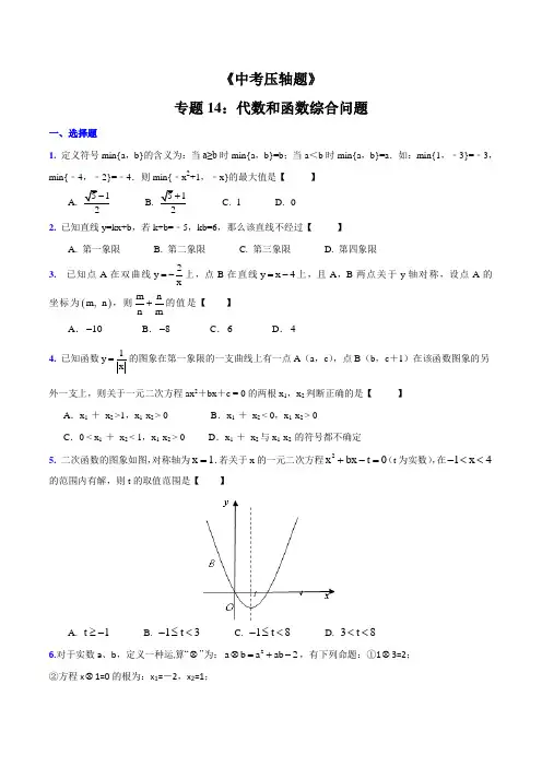 专题14 代数和函数综合问题(压轴题)