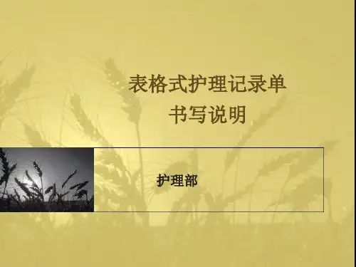 表格式护理记录单