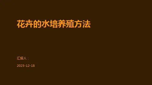 花卉的水培养殖方法