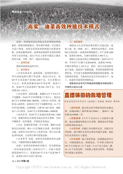 高粱—油菜高效种植技术模式