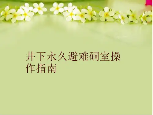 井下永久避难硐室操作指南
