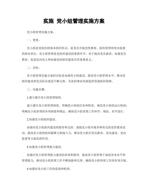 实施 党小组管理实施方案