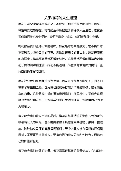 关于梅花的人生道理