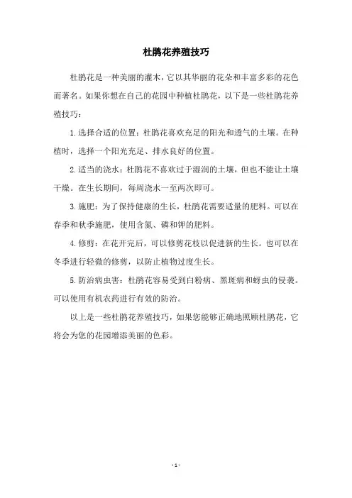 杜鹃花养殖技巧
