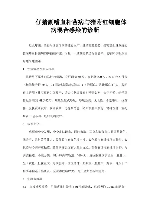 仔猪副嗜血杆菌病与猪附红细胞体病混合感染的诊断