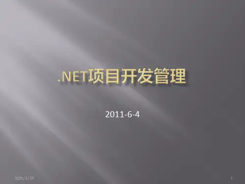 软件项目开发管理PPT课件
