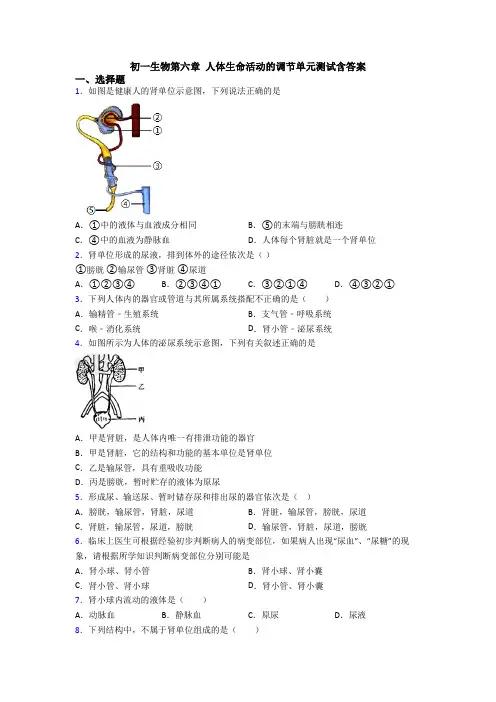 初一生物第六章 人体生命活动的调节单元测试含答案