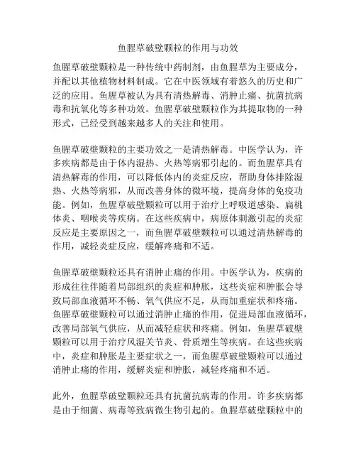鱼腥草破壁颗粒的作用与功效