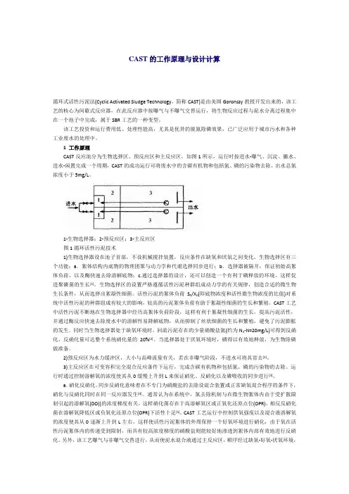 CAST设计计算