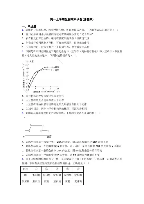 高一上学期生物期末试卷(含答案)