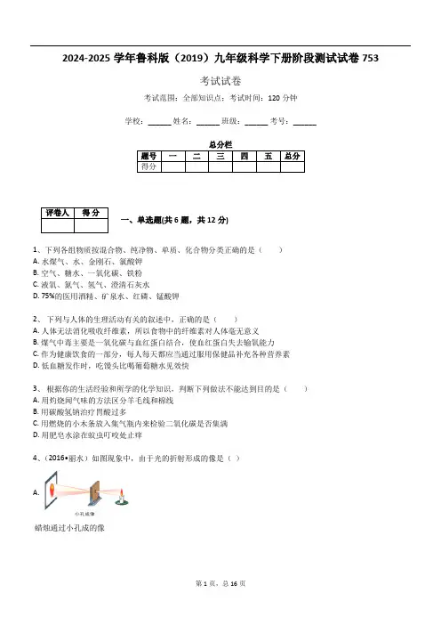 2024-2025学年鲁科版(2019)九年级科学下册阶段测试试卷753