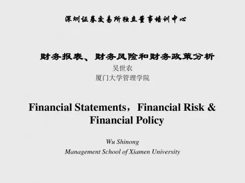 在线阅读 - 财务报表、财务风险、财务政策分析共128页文档