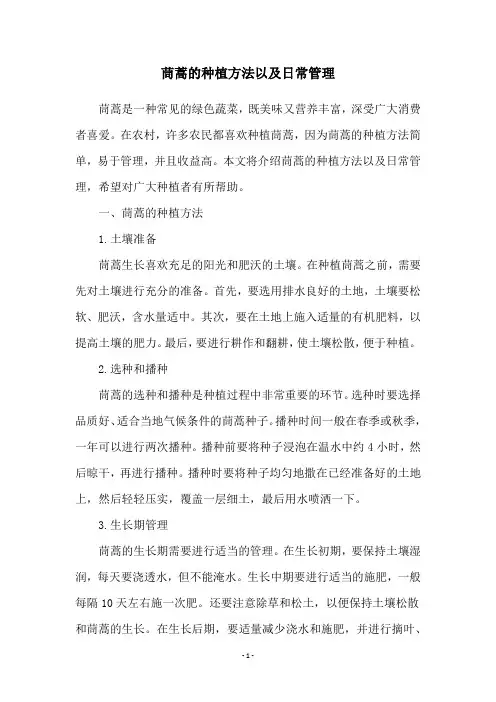 茼蒿的种植方法以及日常管理