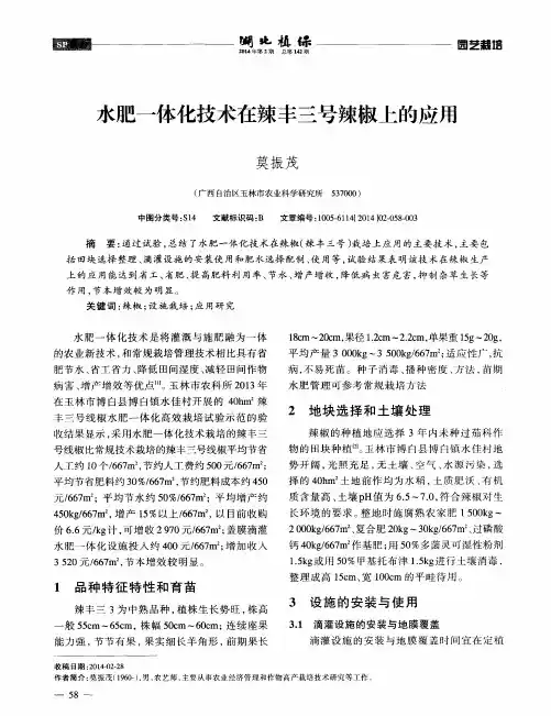 水肥一体化技术在辣丰三号辣椒上的应用