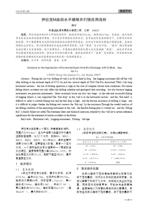 伊拉克M油田水平裸眼井打捞应用浅析