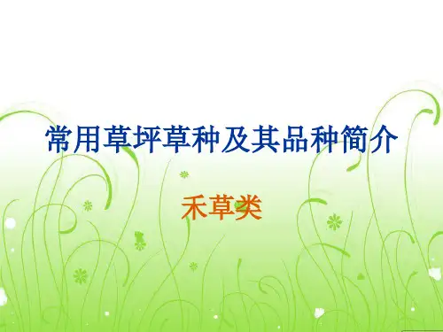 园林草坪植物种质资源及分布 常见草坪草种简介(1暖季型)