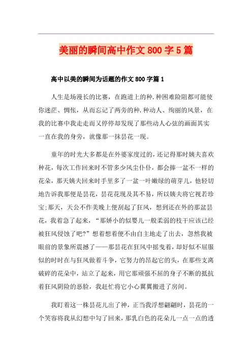 美丽的瞬间高中作文800字5篇