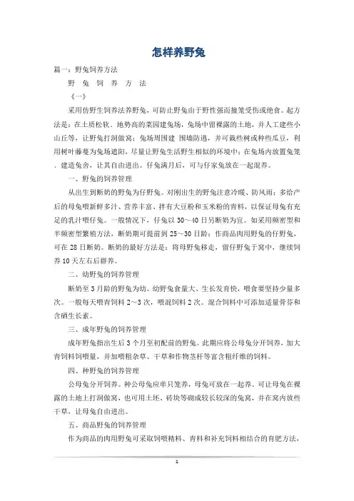 怎样养野兔