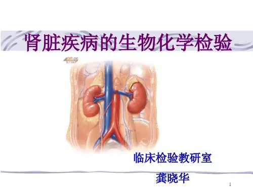 8. 肾脏疾病的生物化学检验解析