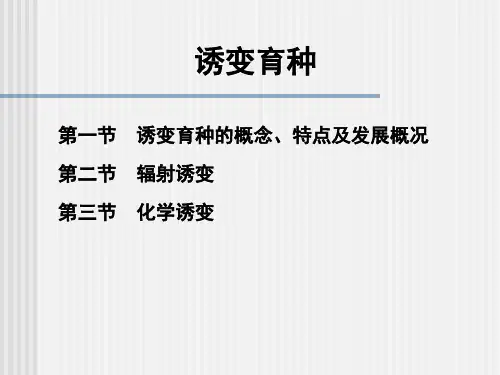 诱变育种