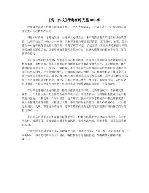 [高二作文]行走在时光里800字