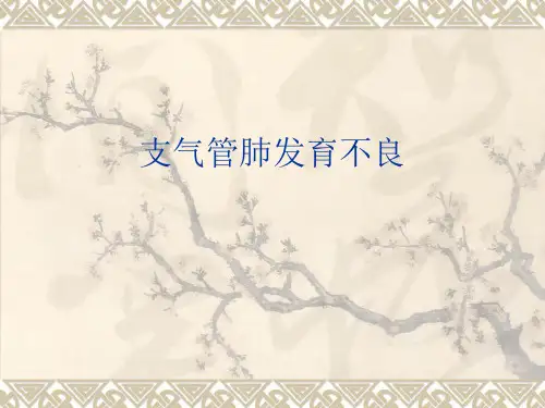 支气管肺发育不良的临床表现、诊断与治疗