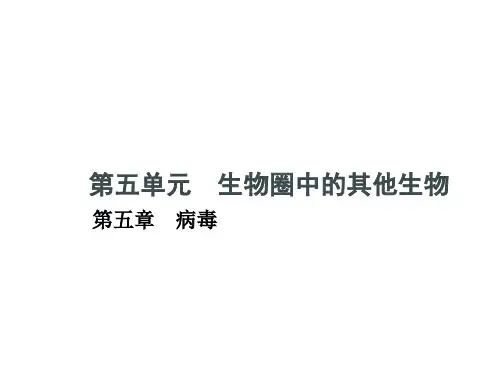 八年级生物上册 5.5 病毒课件 (新版)新人教版