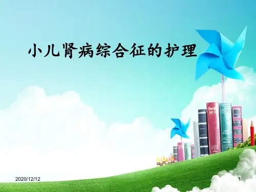 肾病综合征的护理 1 ppt课件