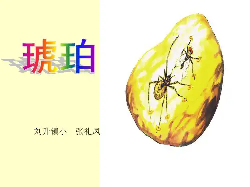 人教部编版《琥珀》课件-完美版1