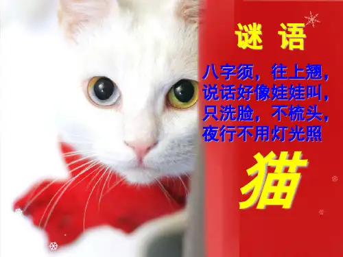 最新人教部编版七年级上第16课《猫》 (共69张PPT)