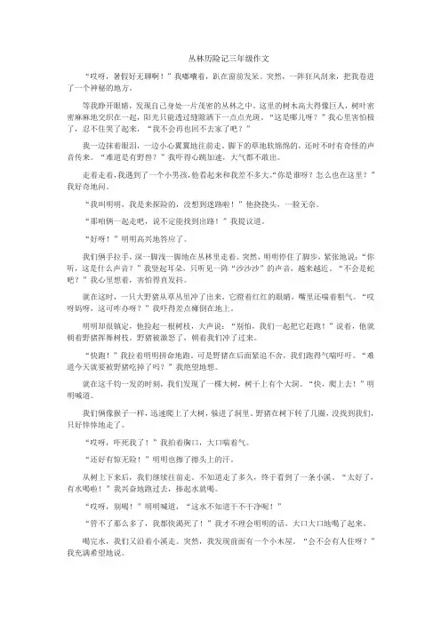 丛林历险记三年级作文