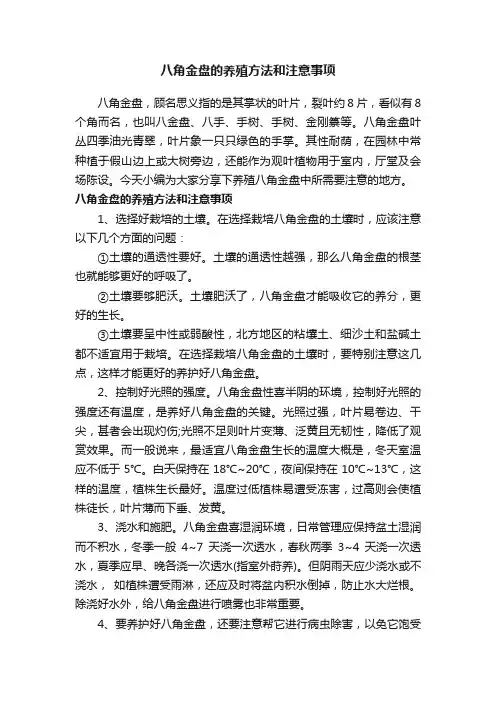 八角金盘的养殖方法和注意事项