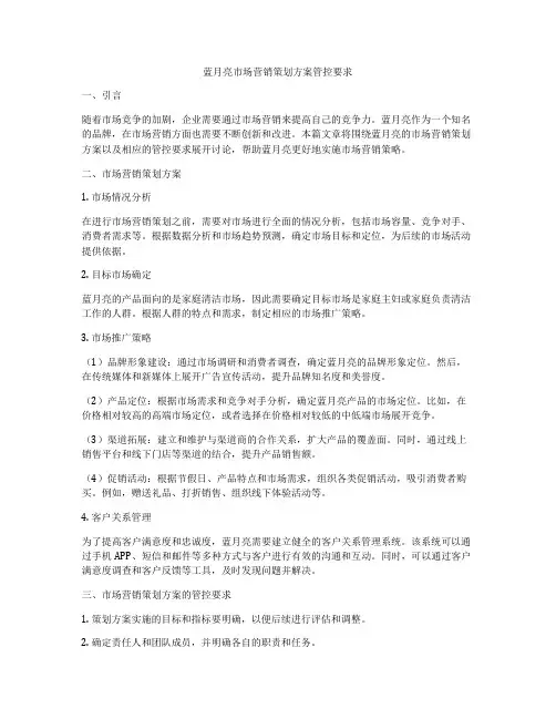 蓝月亮市场营销策划方案管控要求