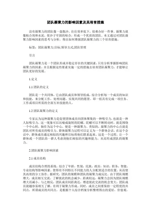团队凝聚力的影响因素及其培育措施