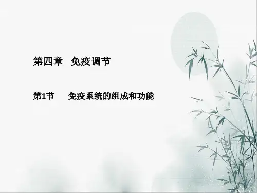 免疫系统的组成和功能