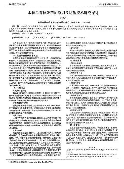 水稻旱育秧死苗的原因及防治技术研究探讨