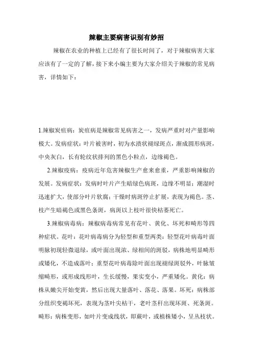 辣椒主要病害识别有妙招.doc