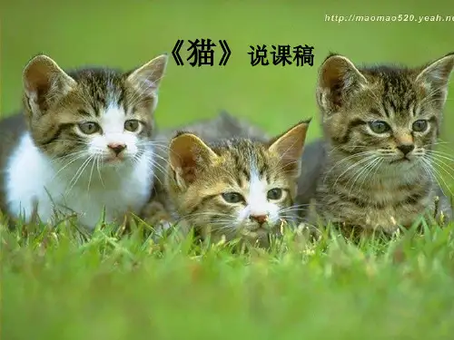 小学语文课件 人教四年级上册《猫》说课PPT课件