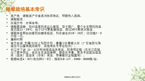 辣椒病虫害防治技术课件