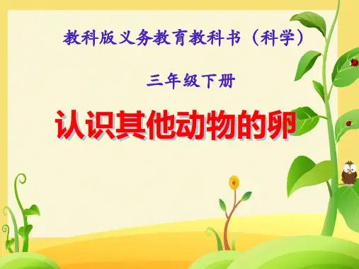 2.2认识其他动物的卵(课件)三年级科学下册教科版
