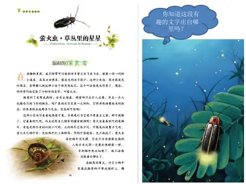 【京版语文二上】课文12《法布尔小时候的故事》