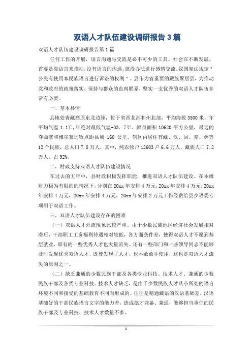 双语人才队伍建设调研报告3篇