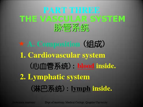 【医学课件】心血管系统中英文解剖学0课件