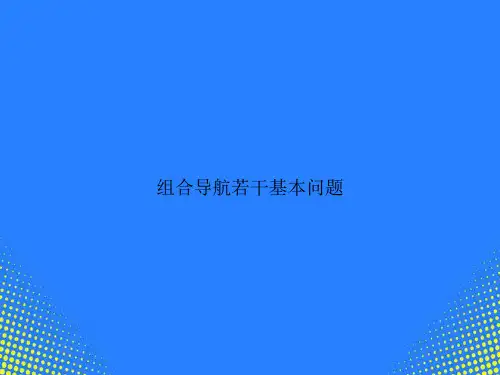 【精选文档】组合导航若干基本问题PPT