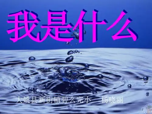 新人教版二年级语文上册26我是什么PPT