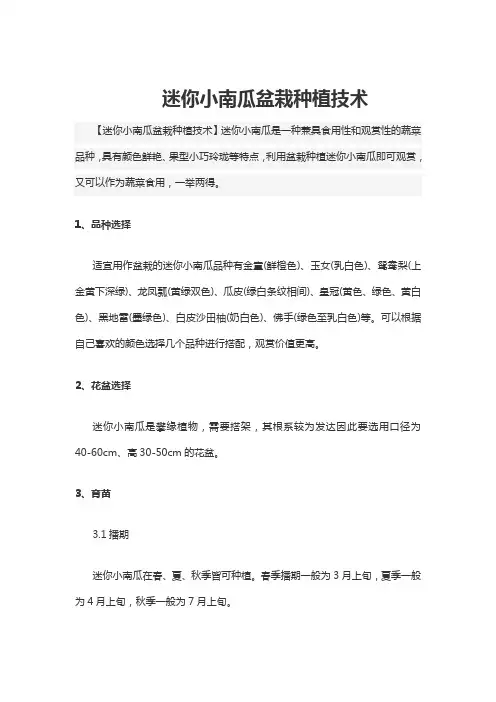 迷你小南瓜盆栽种植技术